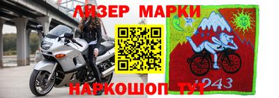 apvp Партизанск