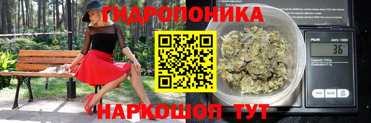 Солнечногорск  Конопля Ganja  Бошки Шишки VHQ  Марихуана Ganja  Вход с VPN  Конопля семена 